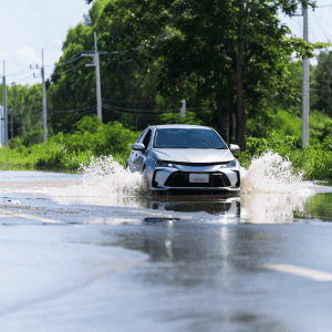 Protecting Pets During Floods in Durham Flooded Street in Durham, NC