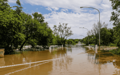 Protecting Pets During Floods in Durham