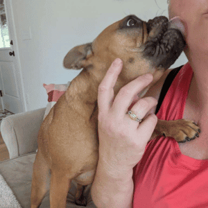 dog giving kisses to er Bull City Pet Care Dog Walker
