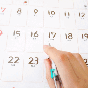 holiday schedule pet sitter Durham, NC