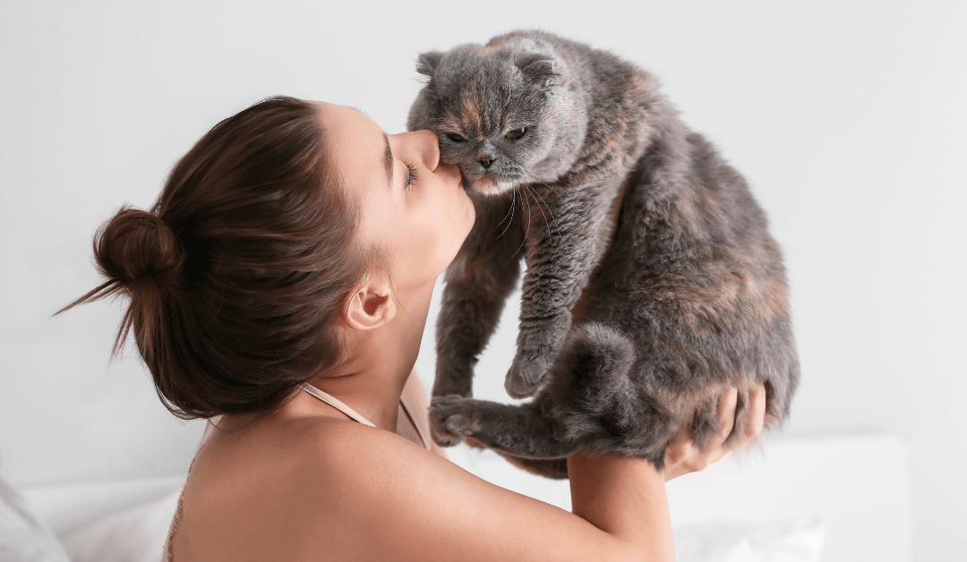 Why the Kid Next Door Is Not a Pet Sitter