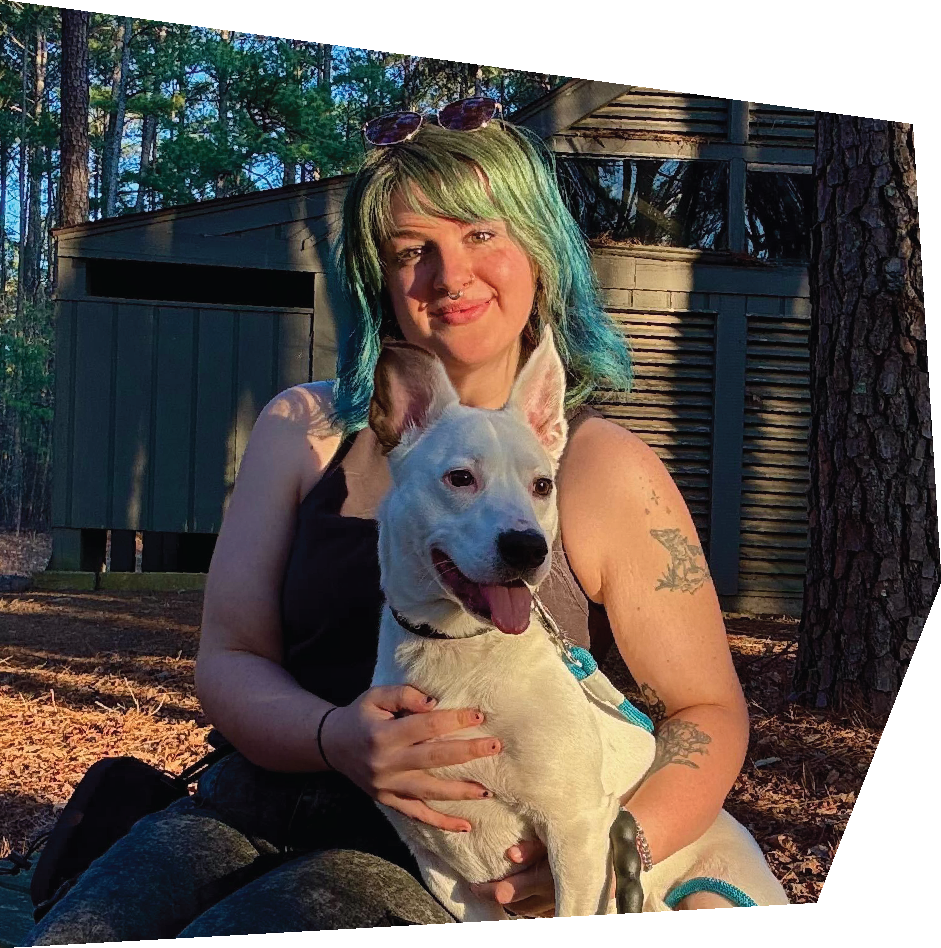 chihuahua with a mohawk placeholder