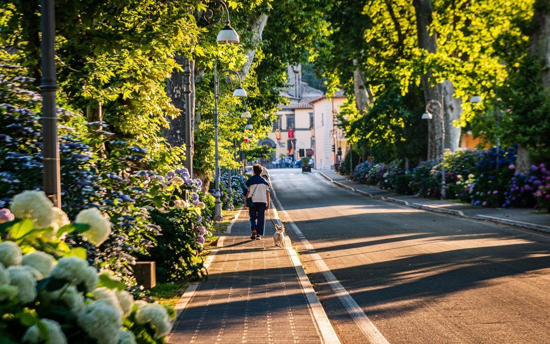 The Best Durham Neighborhoods for Dog Owners Working at Duke University Hospital