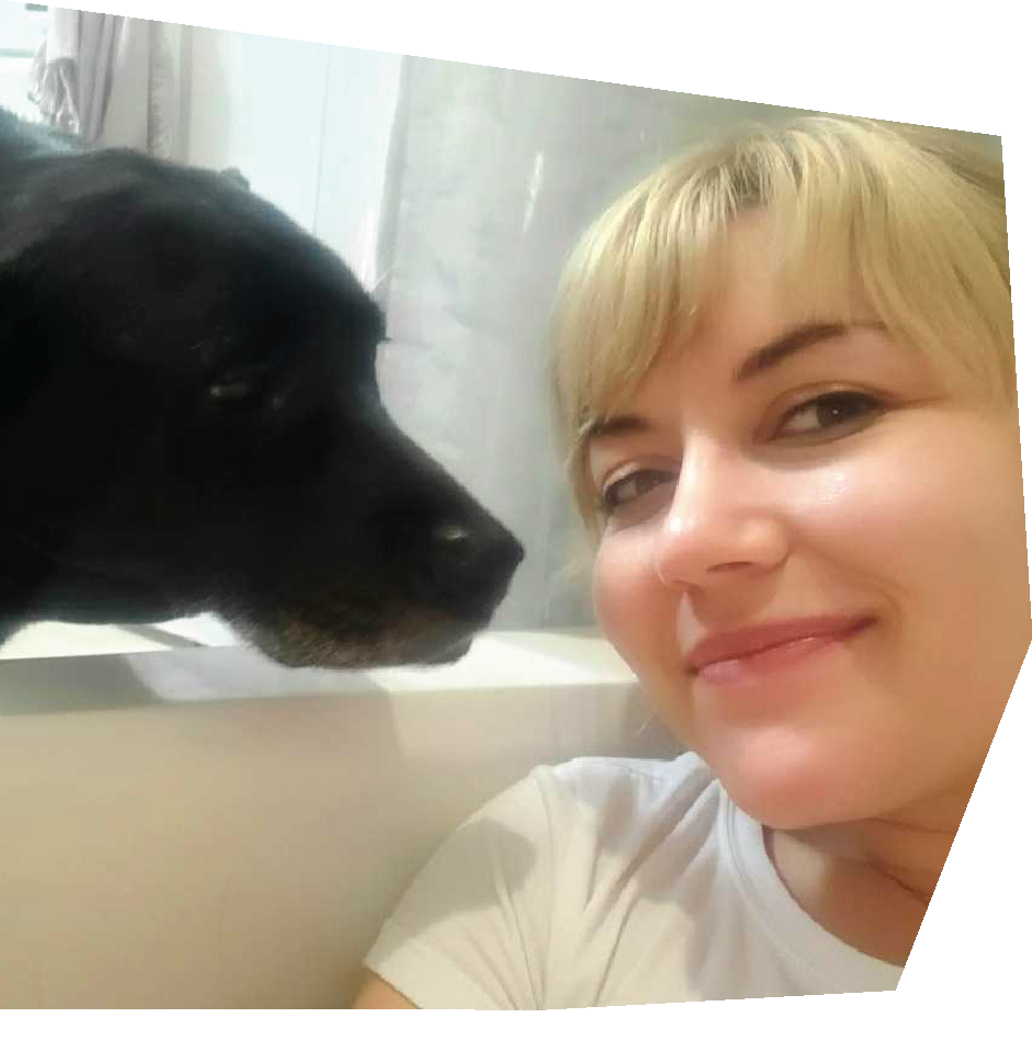 chihuahua with a mohawk placeholder