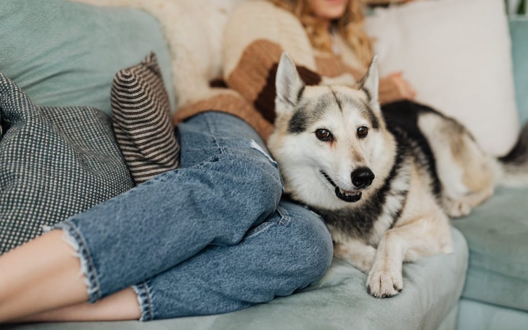 How to Choose a Pet Sitter in Durham