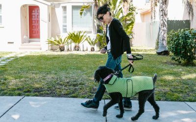 Dog Walking and Cat Sitting in East Durham: A Guide for 27703 Residents