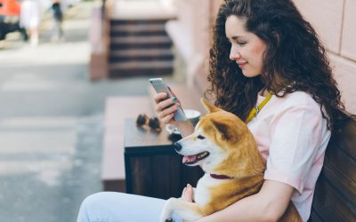 Hiring a Pet Sitter in Durham: Apps Like Rover vs. a Local Company