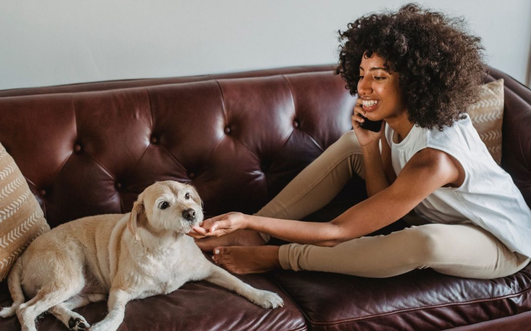 What to Expect at Your First Dog Walking Meet & Greet in Durham